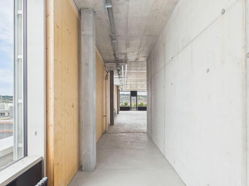 Modern offices in the heart of Zurich's business district?Altstetten (15)
