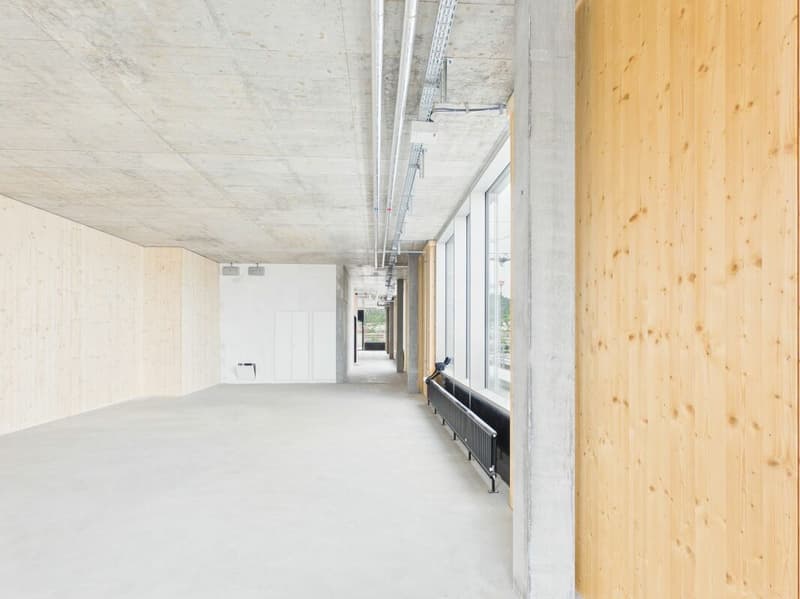 Modern offices in the heart of Zurich's business district?Altstetten (12)