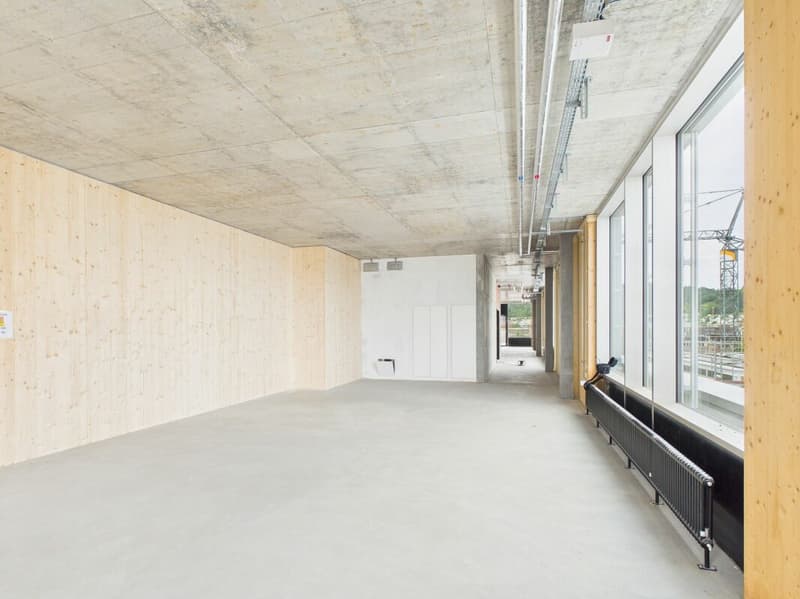 Modern offices in the heart of Zurich's business district?Altstetten (9)