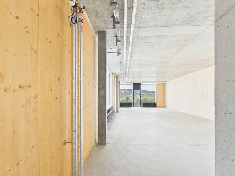 Modern offices in the heart of Zurich's business district?Altstetten (2)