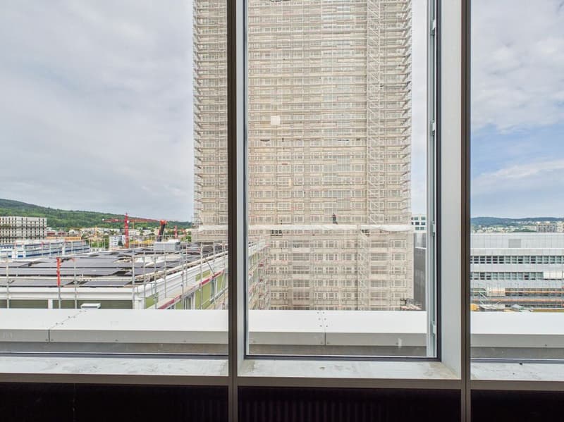 Modern offices in the heart of Zurich's business district?Altstetten (1)