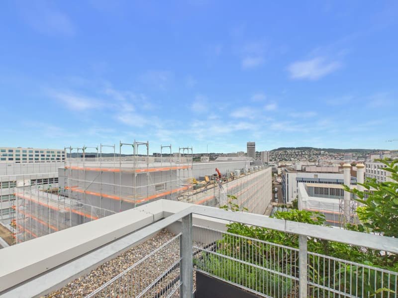 Modern offices in the heart of Zurich's business district?Altstetten (6)