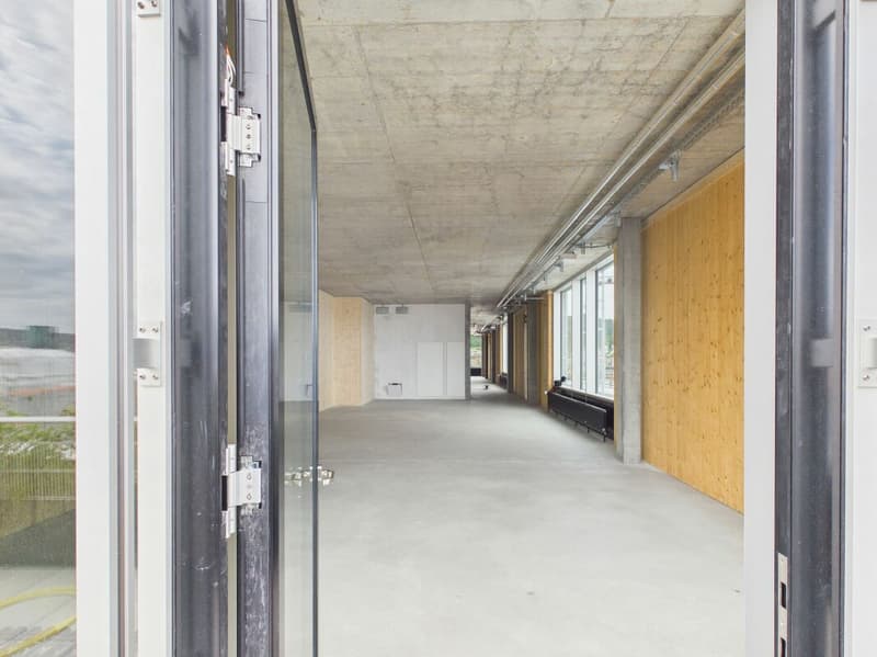 Modern offices in the heart of Zurich's business district?Altstetten (14)