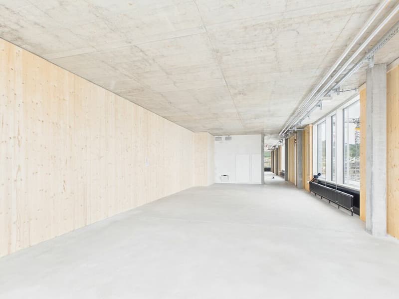 Modern offices in the heart of Zurich's business district?Altstetten (8)