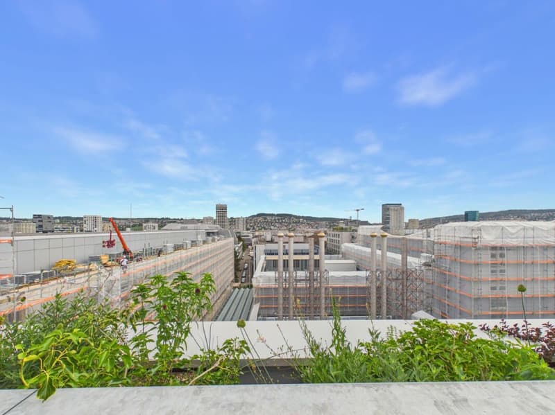 Modern offices in the heart of Zurich's business district?Altstetten (7)