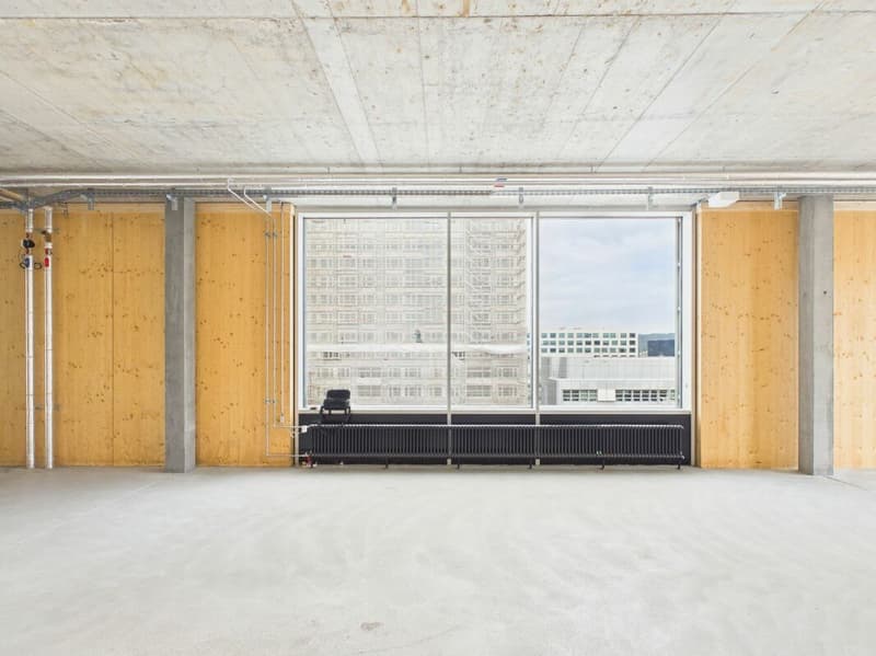 Modern offices in the heart of Zurich's business district?Altstetten (5)
