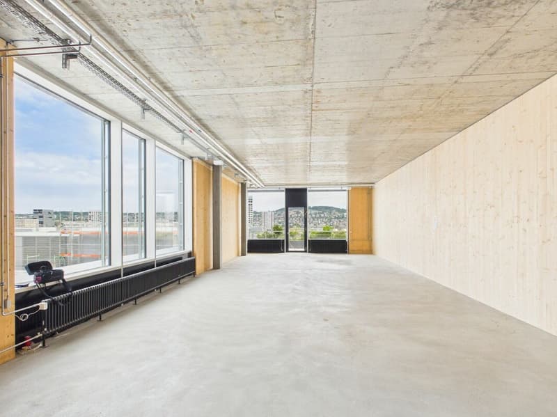 Modern offices in the heart of Zurich's business district?Altstetten (4)