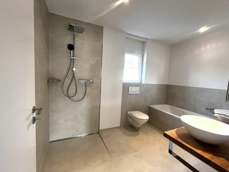 Spacious family house with garden and unobstructable view in Magden (5)
