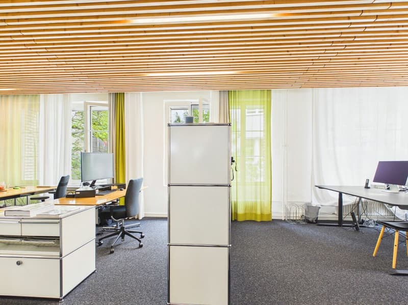 Modern Office Space in the Heart of Zurich (5)