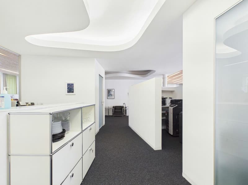Modern Office Space in the Heart of Zurich (8)