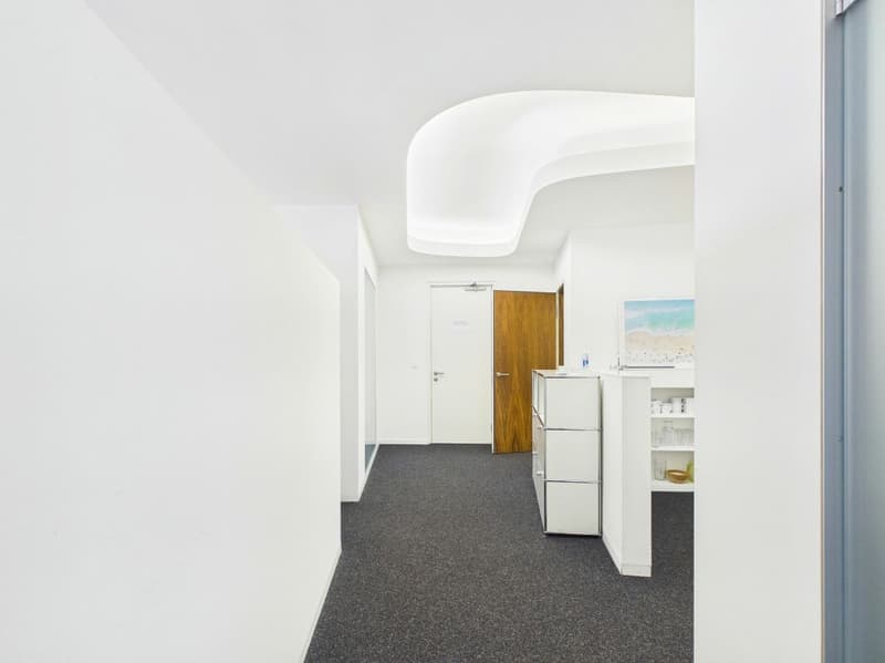 Modern Office Space in the Heart of Zurich (7)