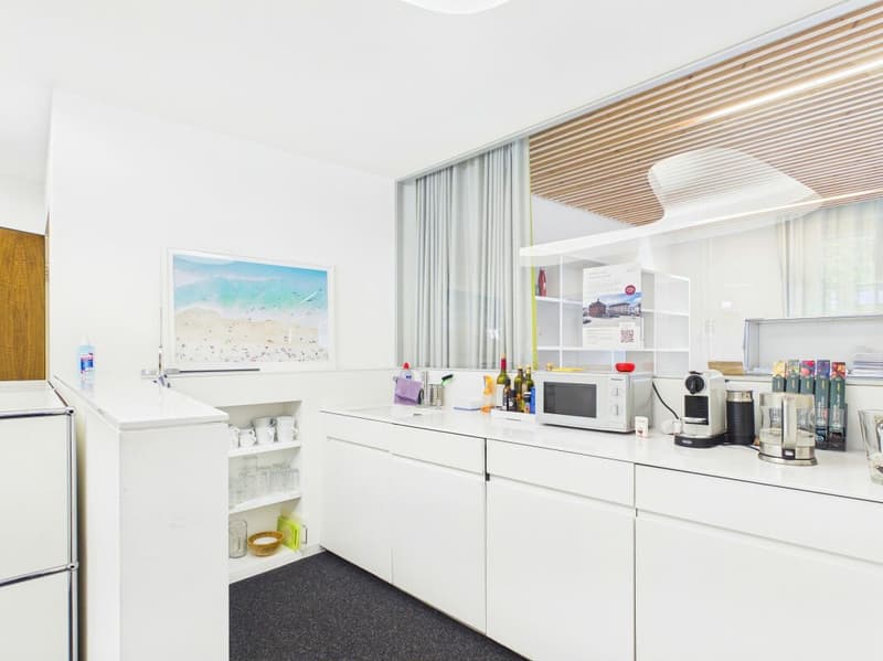 Modern Office Space in the Heart of Zurich (11)