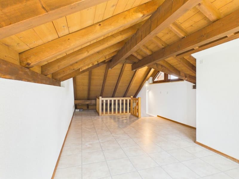 Duplex-Wohnung mit Garten im Zentrum von Windisch (11)