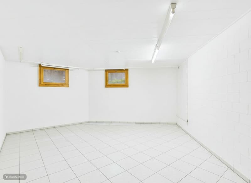 Detached villa with spa, commercial unit and plenty of design flexibility (39)
