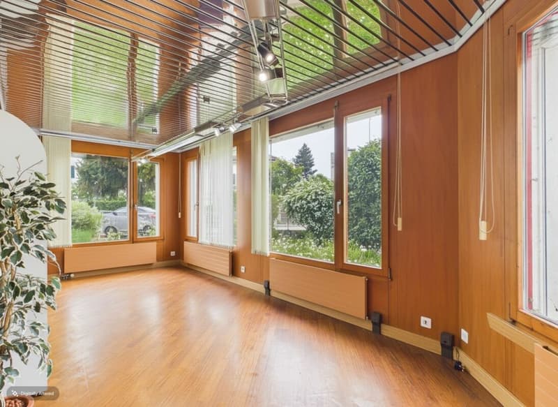 Detached villa with spa, commercial unit and plenty of design flexibility (30)