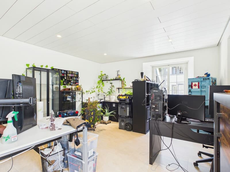 Maisonette spacieuse de 5,5 pièces avec 177 m² et deux balcons (17)