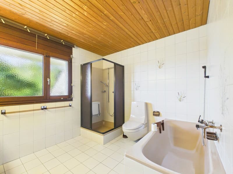Charming 2.5-room apartment with winter garden, garden, and fireplace in Gränichen (9)