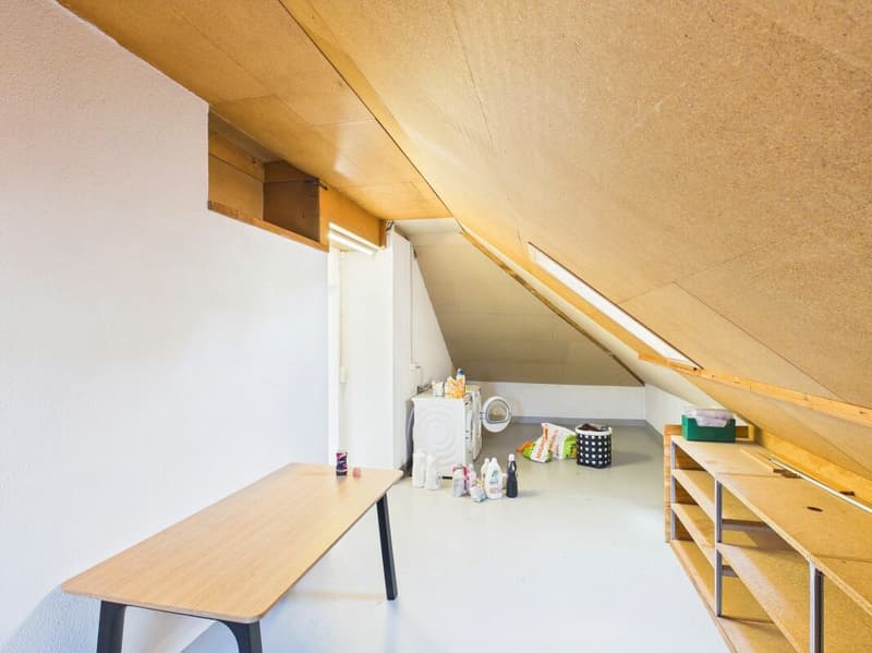 Spacious attic apartment in prime location in Frenkendorf (11)