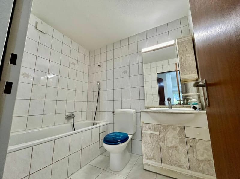 Appartamento in affitto a Füllinsdorf (8)