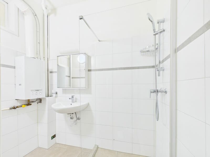 Rare opportunity! Multi-family house with 9 apartments and restaurant & bar (8)