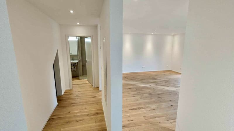 Modernes Studio mit grosszügigem Balkon (3)