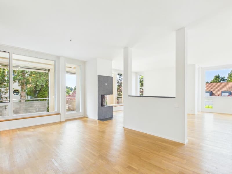 Stylish living on Bruderholz with chimney, balcony, terrace, and ornamental garden (4)