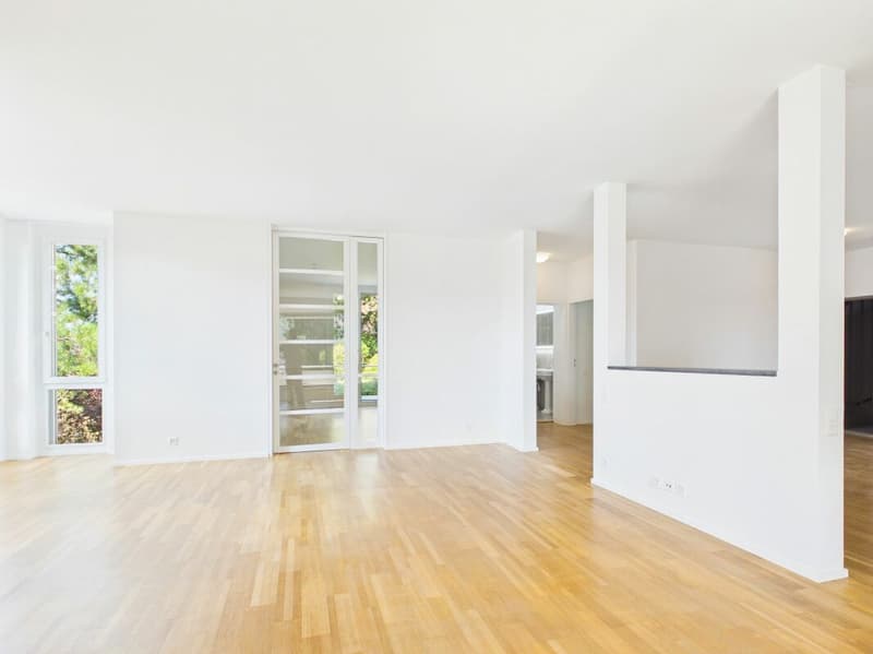 Stylish living on Bruderholz with chimney, balcony, terrace, and ornamental garden (7)