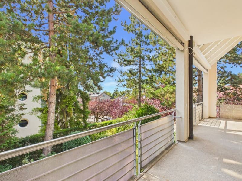 Stylish living on Bruderholz with chimney, balcony, terrace, and ornamental garden (18)
