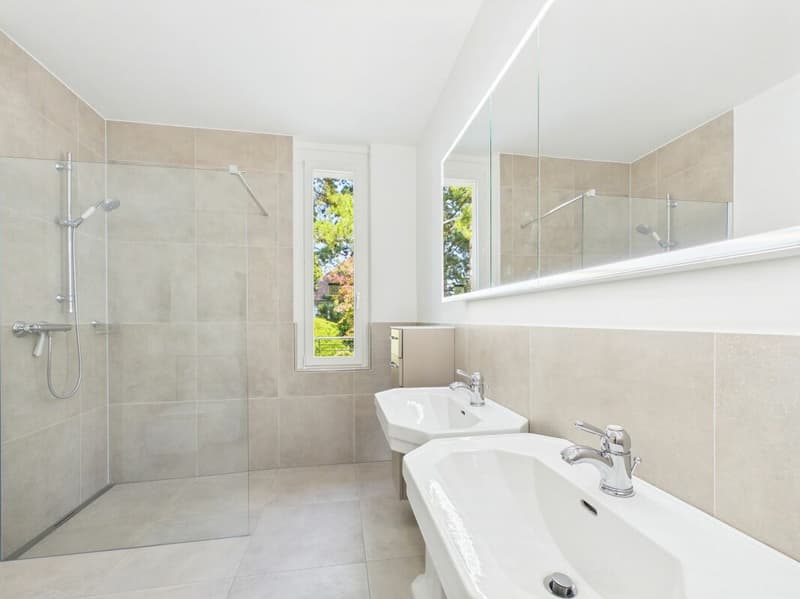 Stylish living on Bruderholz with chimney, balcony, terrace, and ornamental garden (13)