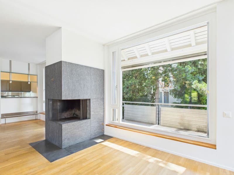 Stylish living on Bruderholz with chimney, balcony, terrace, and ornamental garden (5)
