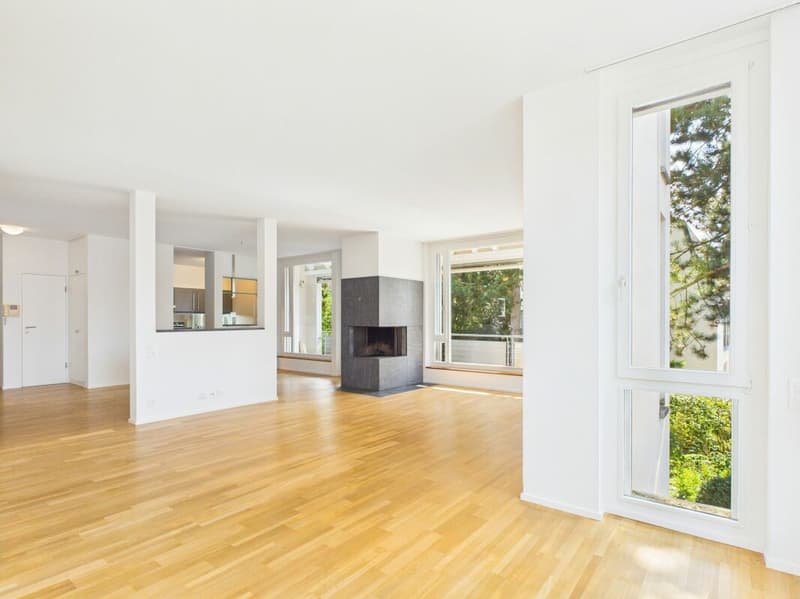 Stylish living on Bruderholz with chimney, balcony, terrace, and ornamental garden (2)
