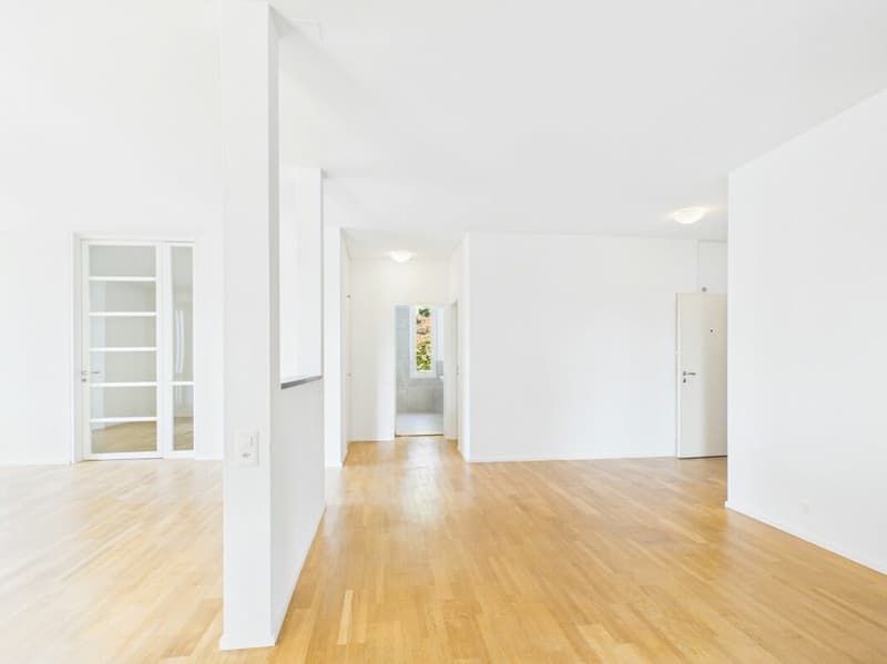 Stylish living on Bruderholz with chimney, balcony, terrace, and ornamental garden (6)