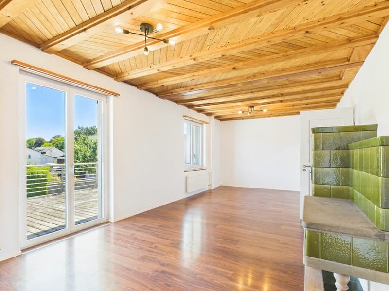 Charming single-family house with large garden and converted attic (6)