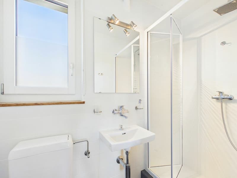 Charming single-family house with large garden and converted attic (5)
