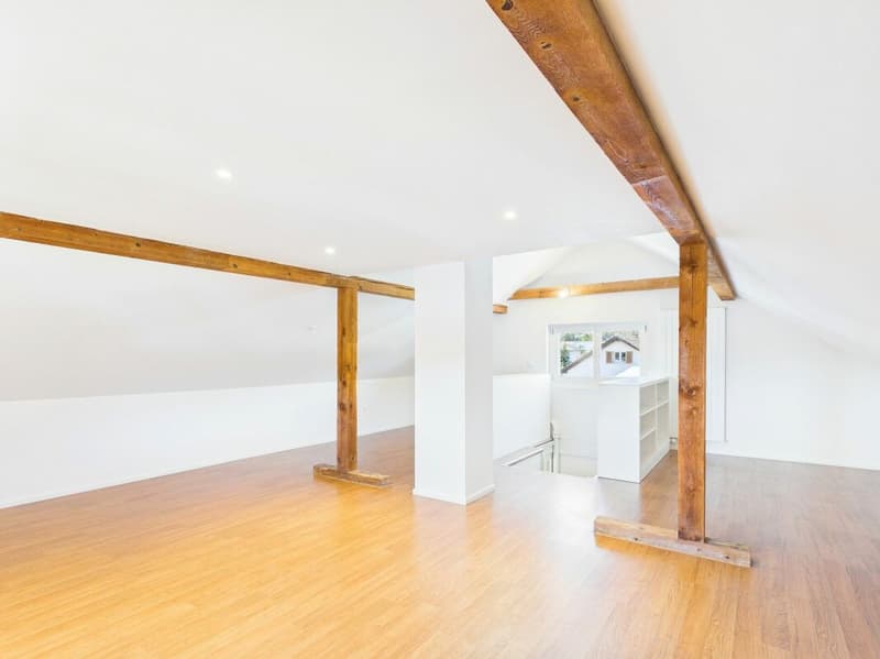 Charming single-family house with large garden and converted attic (15)