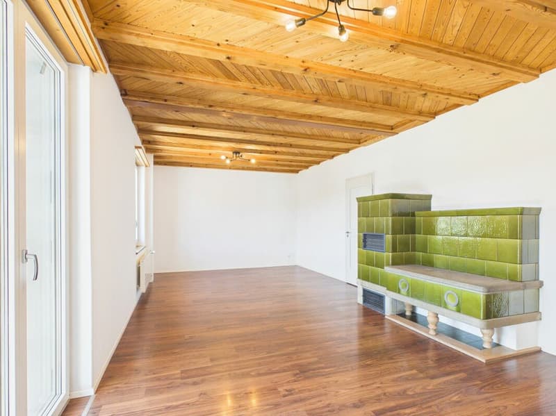 Charming single-family house with large garden and converted attic (7)