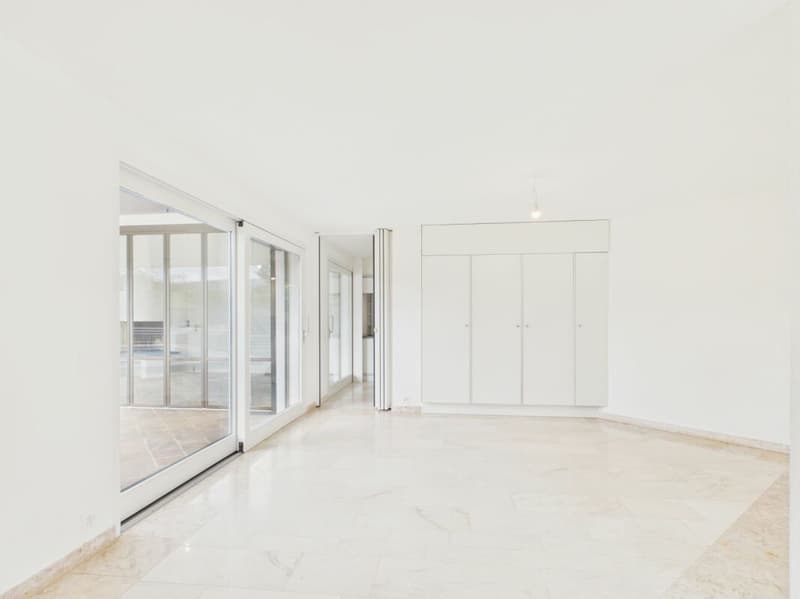 Villa di lusso con vista imprenabile e molta privacy a Frenkendorf (10)