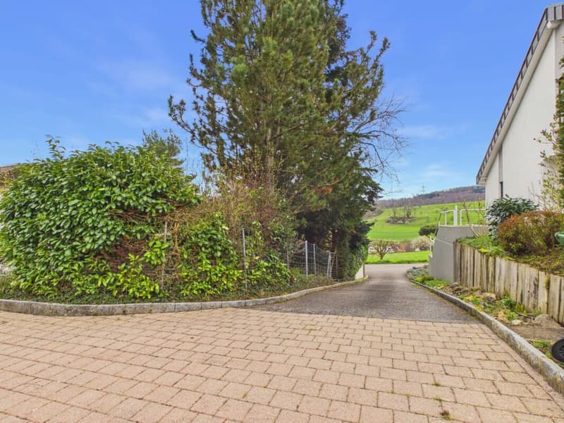 Villa di lusso con vista imprenabile e molta privacy a Frenkendorf (28)