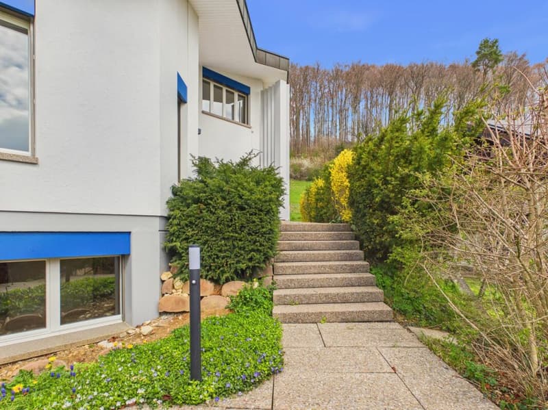 Villa di lusso con vista imprenabile e molta privacy a Frenkendorf (4)
