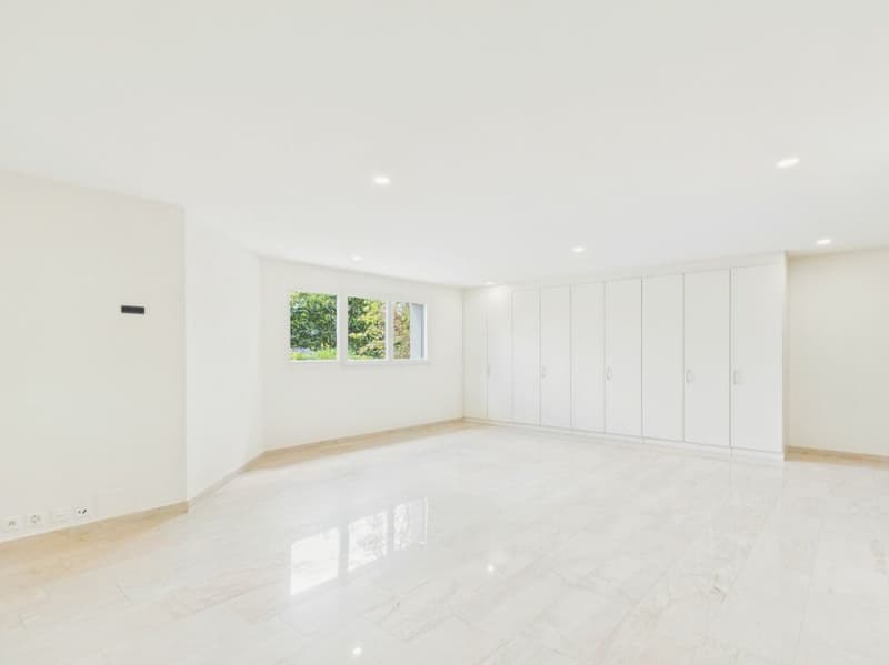 Villa di lusso con vista imprenabile e molta privacy a Frenkendorf (26)