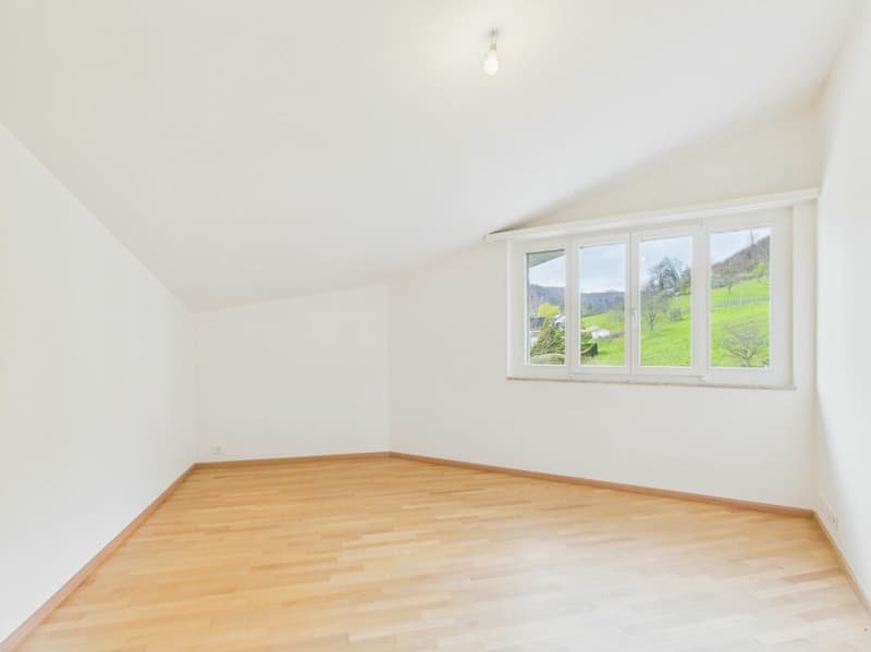 Villa di lusso con vista imprenabile e molta privacy a Frenkendorf (19)