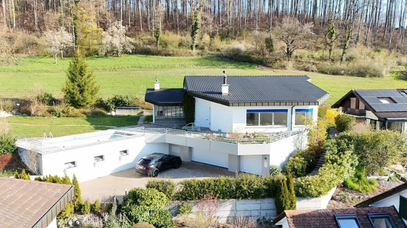 Villa di lusso con vista imprenabile e molta privacy a Frenkendorf (30)