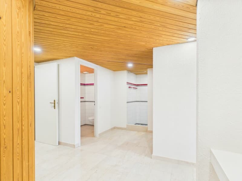 Villa di lusso con vista imprenabile e molta privacy a Frenkendorf (23)