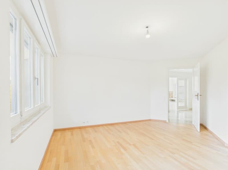 Villa di lusso con vista imprenabile e molta privacy a Frenkendorf (6)