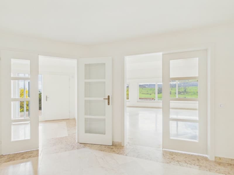 Villa di lusso con vista imprenabile e molta privacy a Frenkendorf (5)
