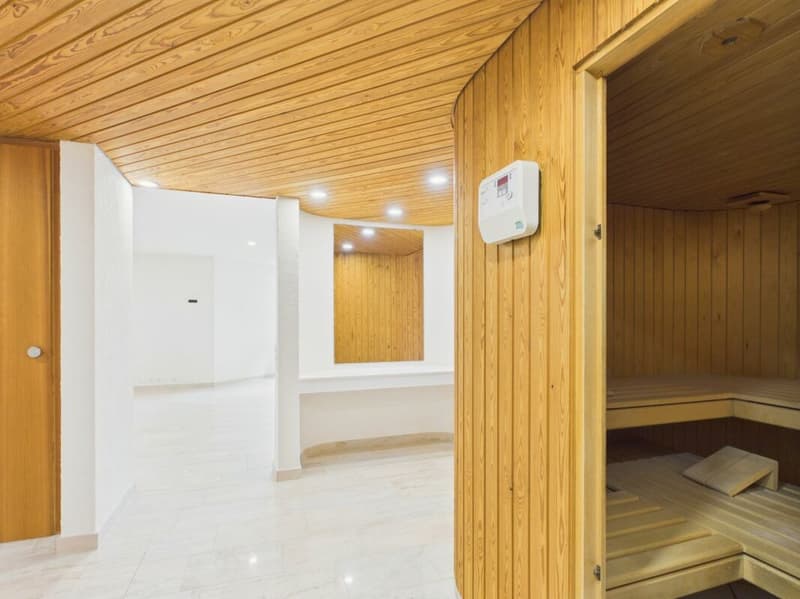 Villa di lusso con vista imprenabile e molta privacy a Frenkendorf (22)