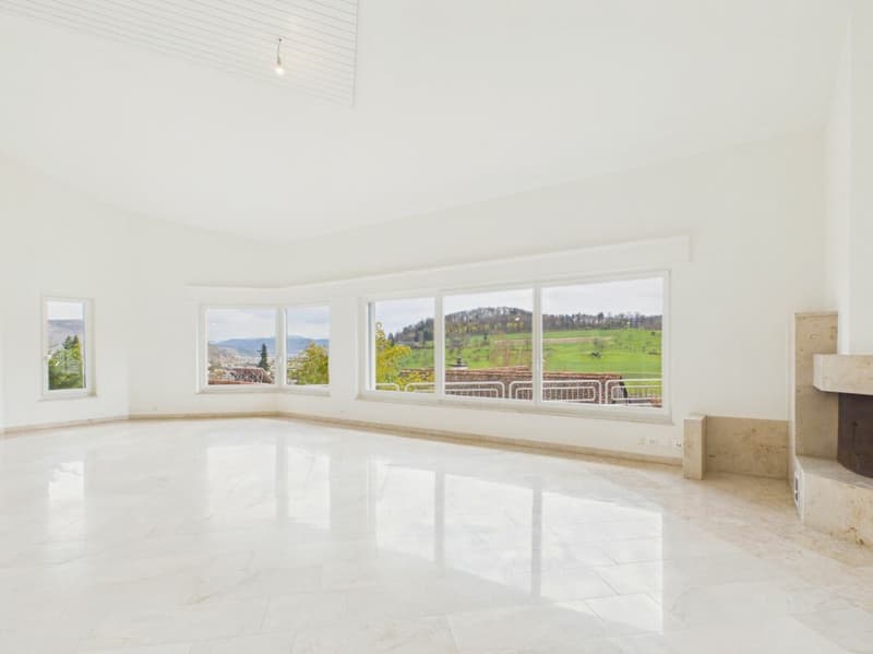Villa di lusso con vista imprenabile e molta privacy a Frenkendorf (8)