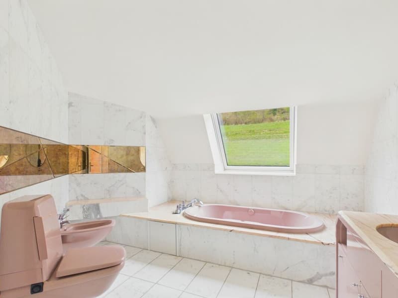 Villa di lusso con vista imprenabile e molta privacy a Frenkendorf (20)