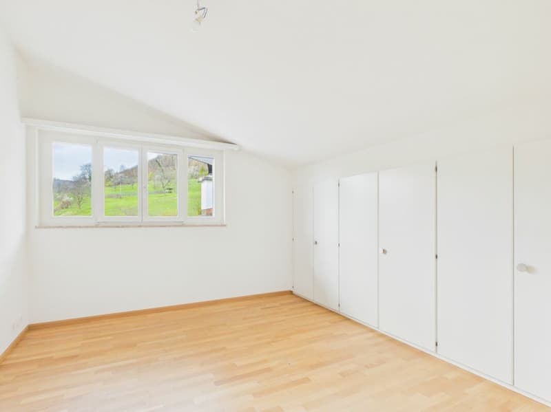 Villa di lusso con vista imprenabile e molta privacy a Frenkendorf (18)