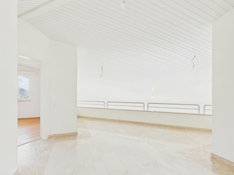 Villa di lusso con vista imprenabile e molta privacy a Frenkendorf (17)